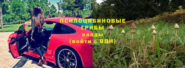 прущие грибы Верея