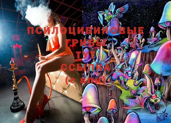 прущие крисы Верхний Тагил