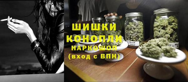 бошки Горняк