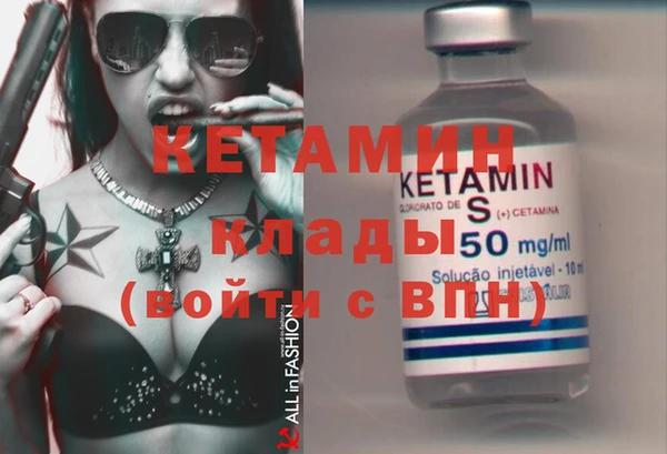 прущие грибы Верея