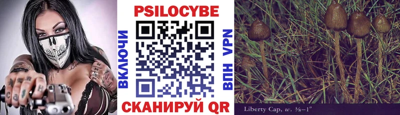 сколько стоит Ермолино Галлюциногенные грибы прущие грибы